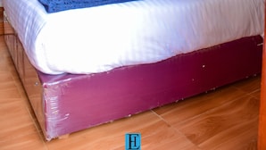 A single bed with a white canopy, a purple mattress, and a blue blanket.