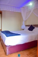 Deluxe Room | Hypo-allergenic bedding, down comforters, free WiFi