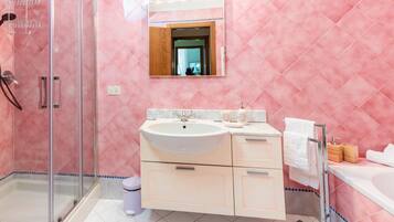 Shower, hair dryer, bidet, towels