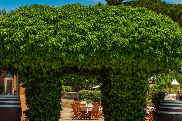 Ristorante