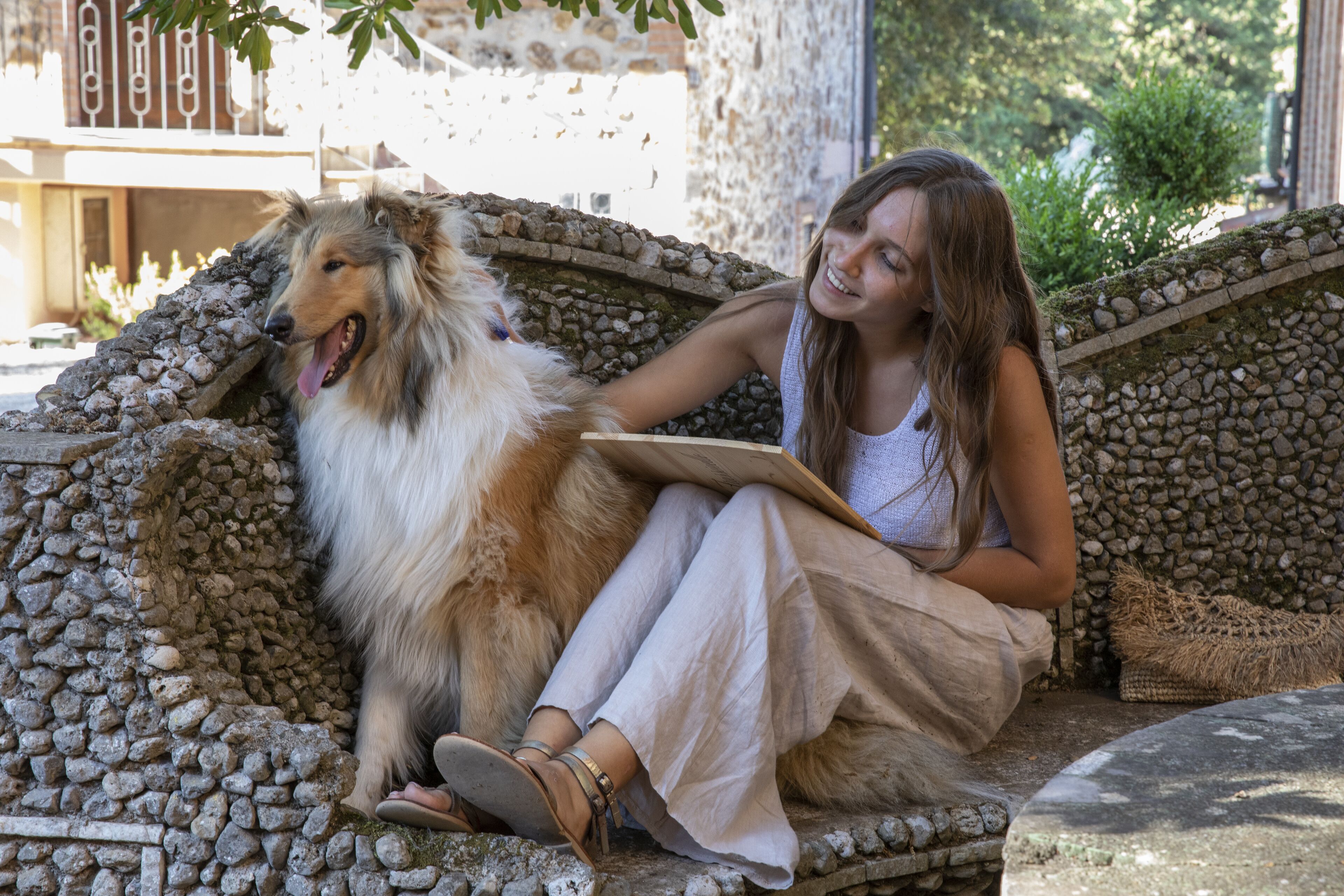 A person sitting on a stone bench outdoors with a dog.