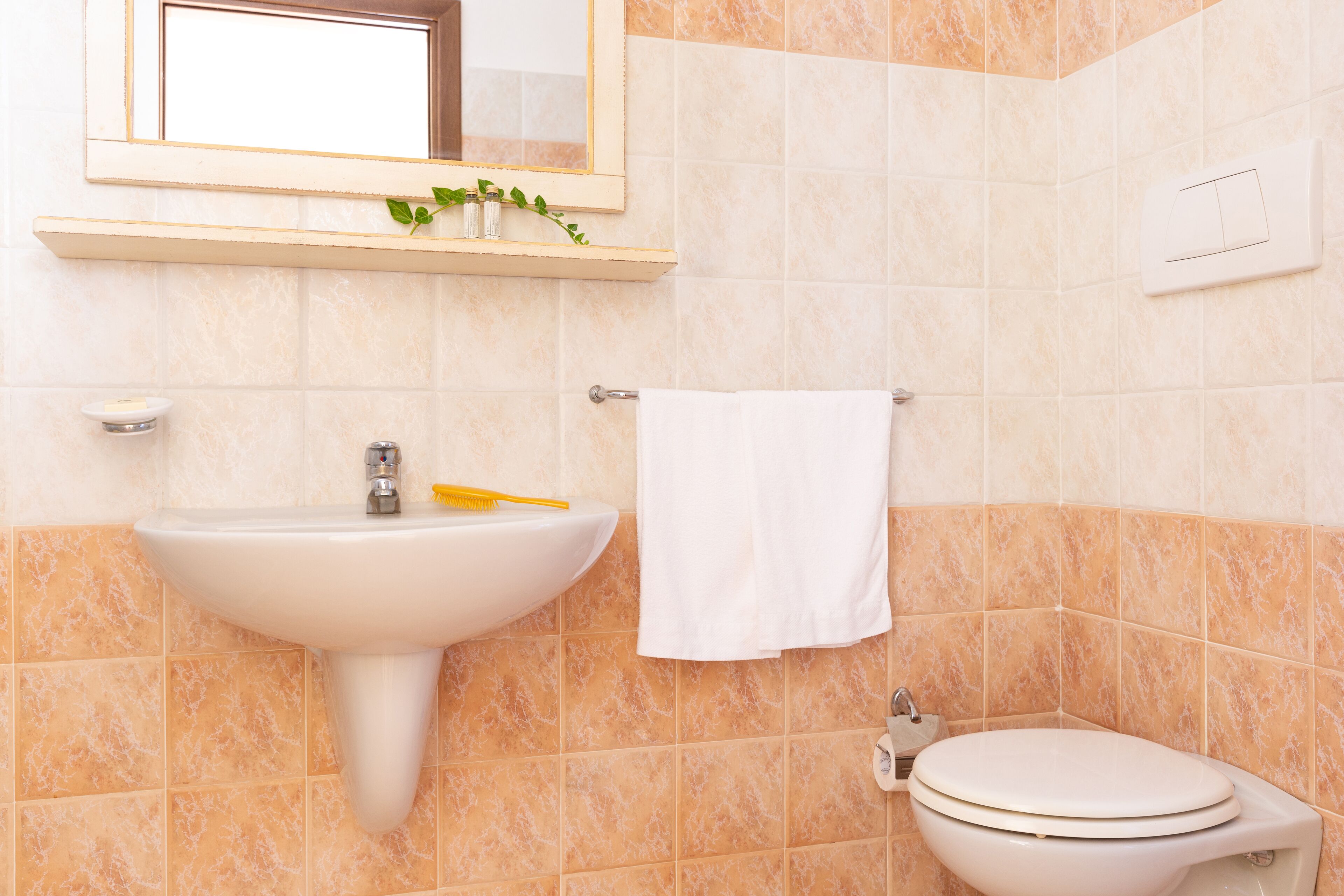 A bathroom with a sink, toilet, and a mirror above the sink.