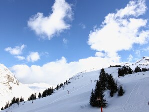 Snow and ski sports