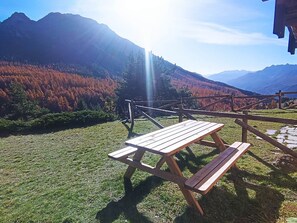 تناول الطعام بالخارج