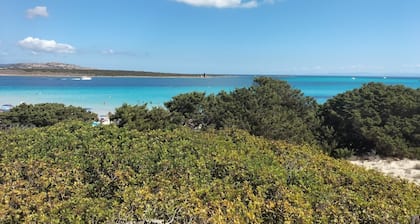 Zweizimmerwohnungen mit Terrasse 400 m vom Strand entfernt