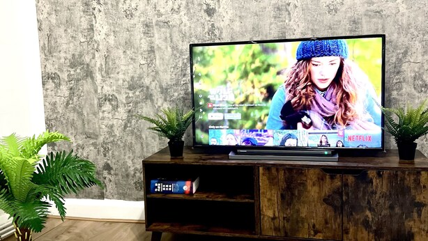 Un téléviseur posé sur un meuble en bois, avec un mur en béton en arrière-plan, le tout entouré de plantes en pot.