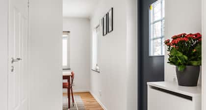 Modern New Stylish Apartment