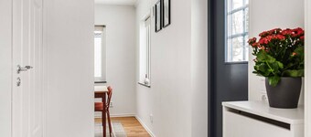 Modern New Stylish Apartment