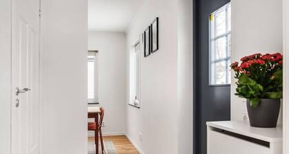 Modern New Stylish Apartment