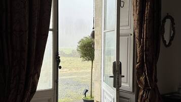 Una porta aperta che dà su una zona erbosa con una pianta in vaso.