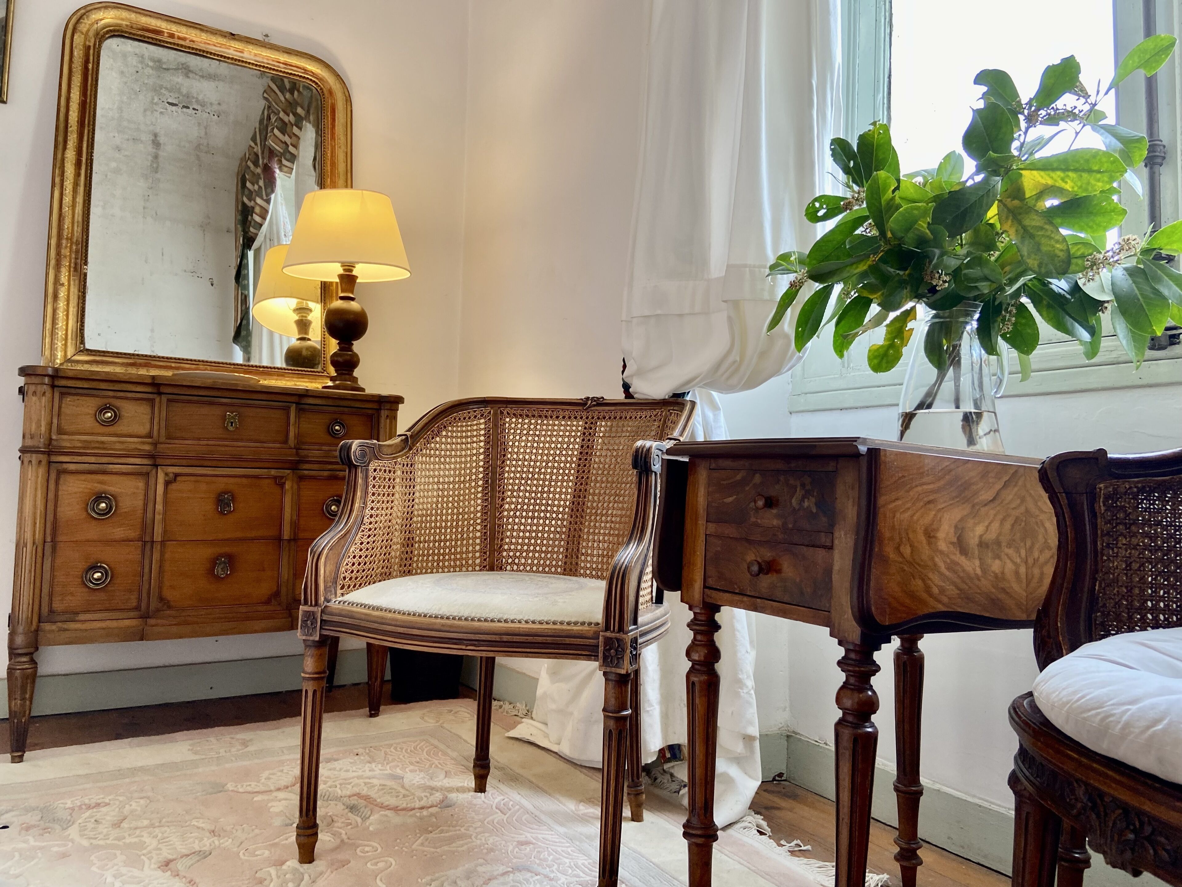 Une pièce comprenant une commode en bois, une chaise, un miroir et une plante en pot.