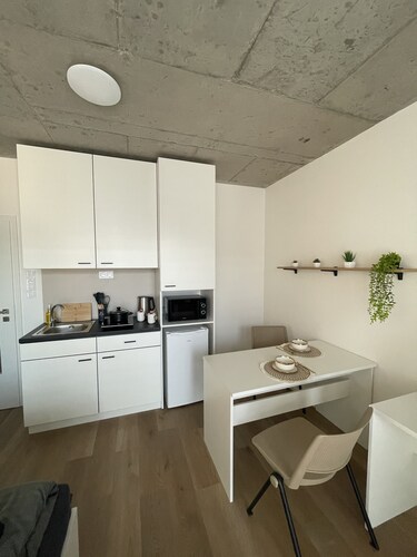 Relax apt. Brno - centrum

