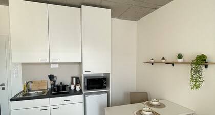 Relax apt. Brno - centrum