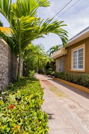 Apartment | Property grounds - Botanic Bliss Living in Kingston (Kingston)