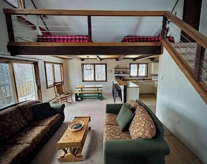 TV, fireplace, DVD player, books