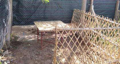 MOROCCO ALL MEALS FREE