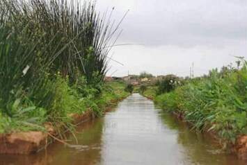 Área da propriedade