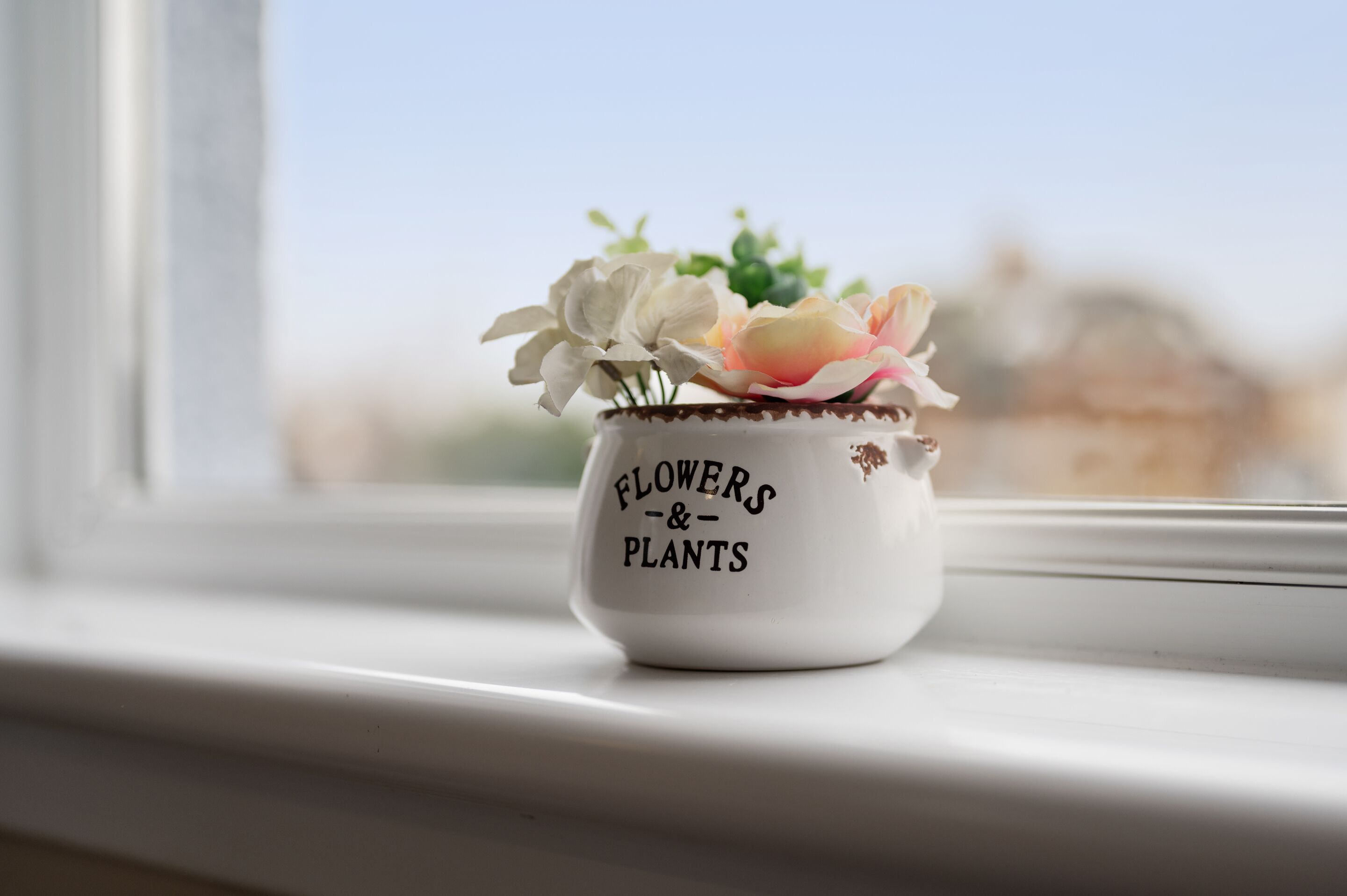 A small white ceramic pot with the words "FLOWERS & PLANTS" on it, placed on a windowsill.