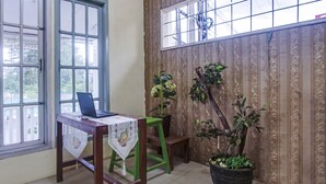 Een kamer met een houten tafel, een laptop, een groene stoel en potplanten.