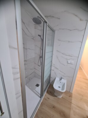 Shower, hair dryer, bidet, towels