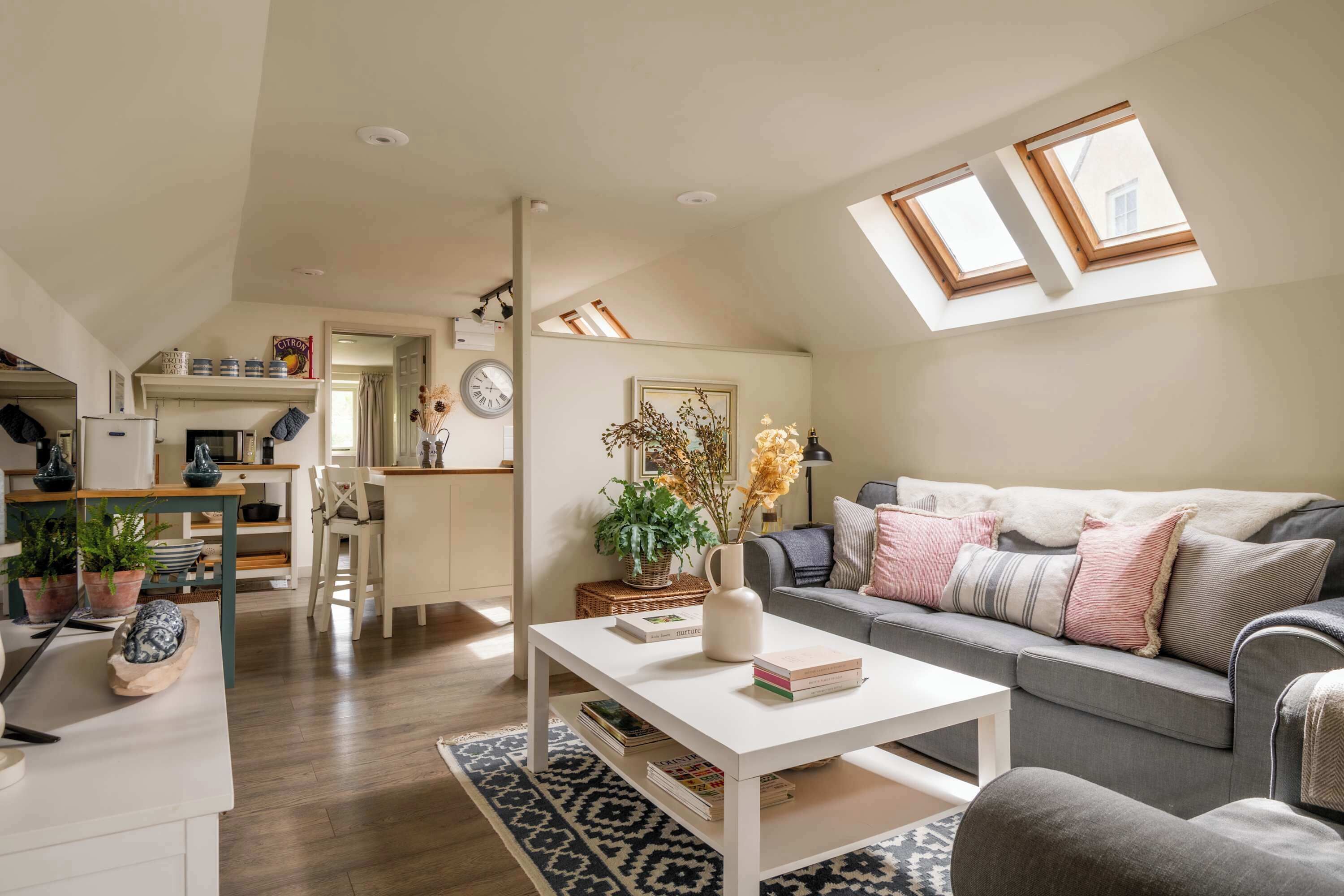 Télévision, cheminée, lecteur de DVD, espaces bureaux