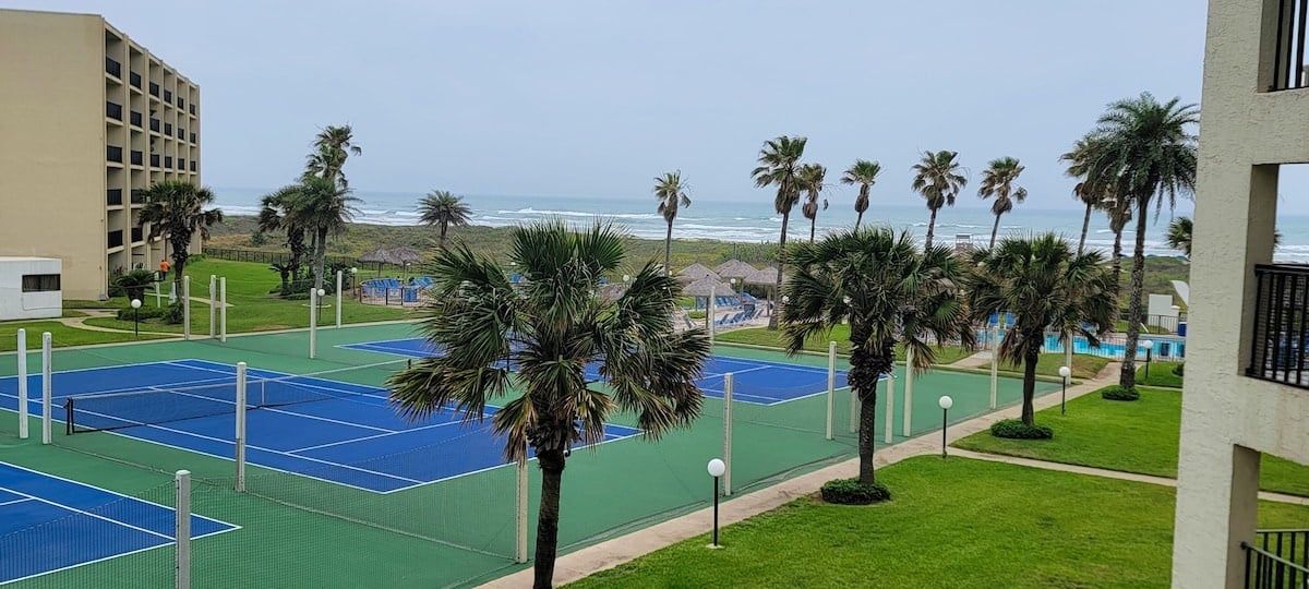 A tennis court with a view of the ocean and palm trees.