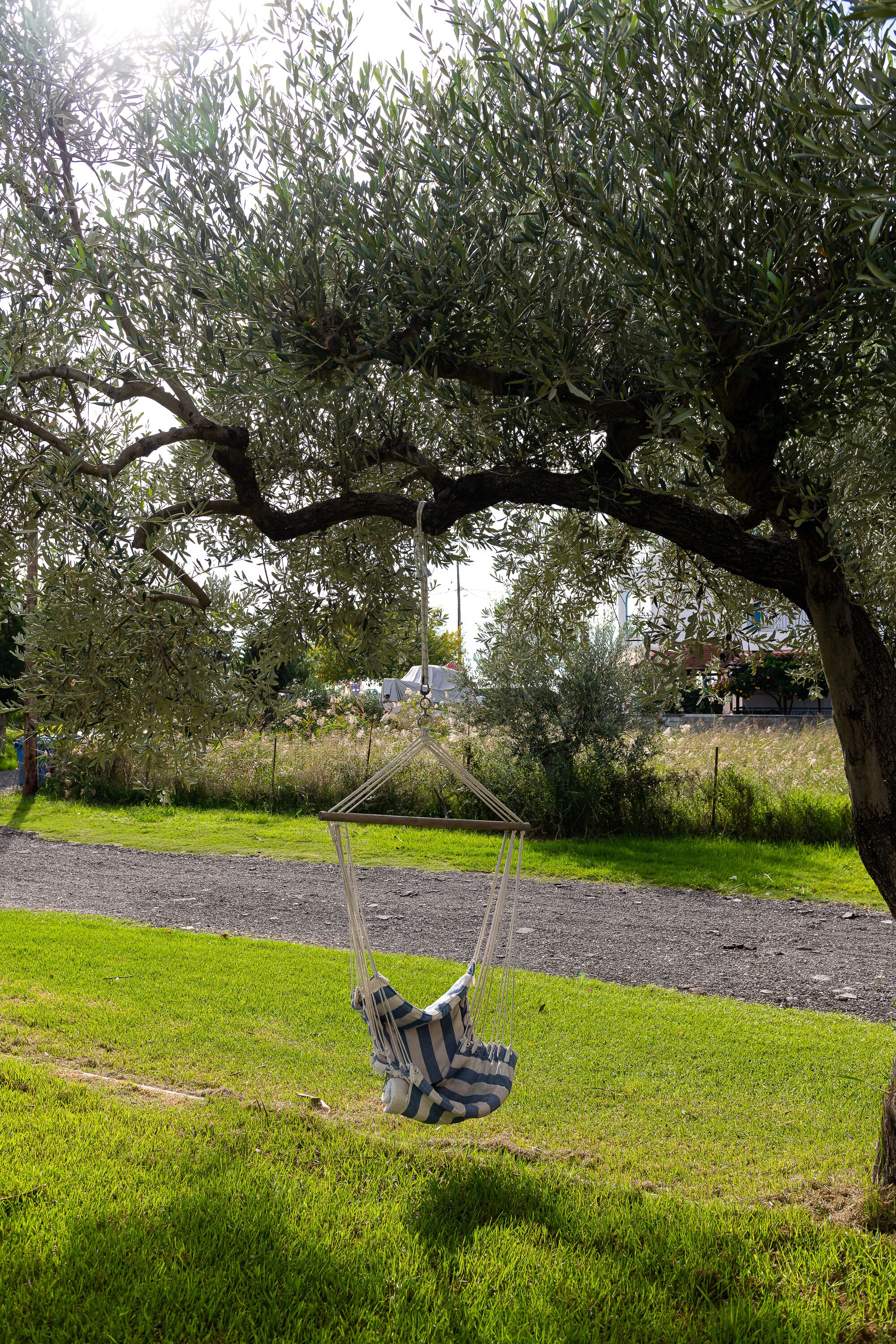 A hammock swing under a tree in a grassy area with a road and buildings in the background.