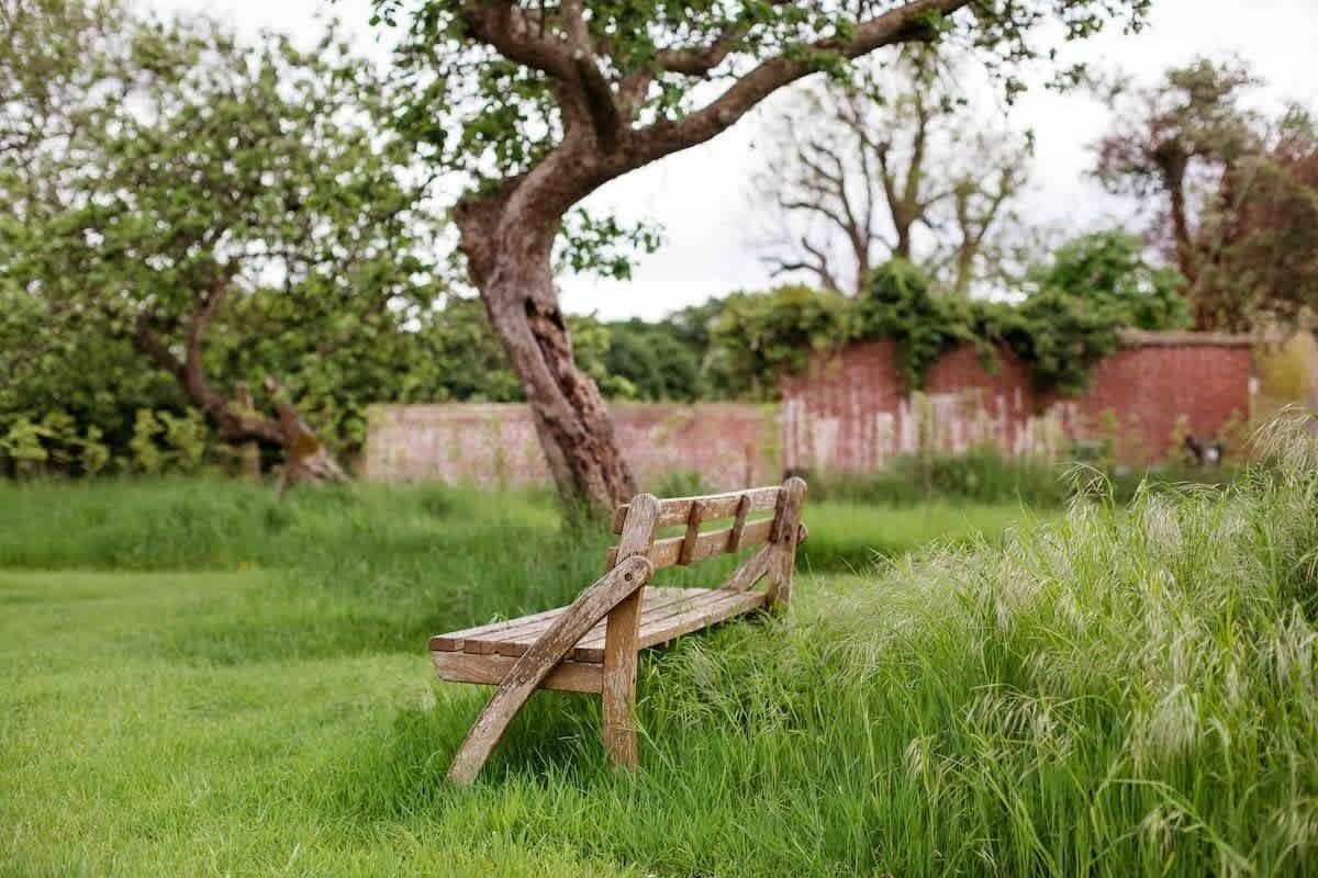 A wooden bench in a grassy area with trees and a brick wall in the background.