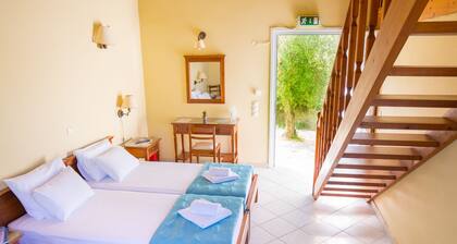 Olive Trees Garden Lixouri