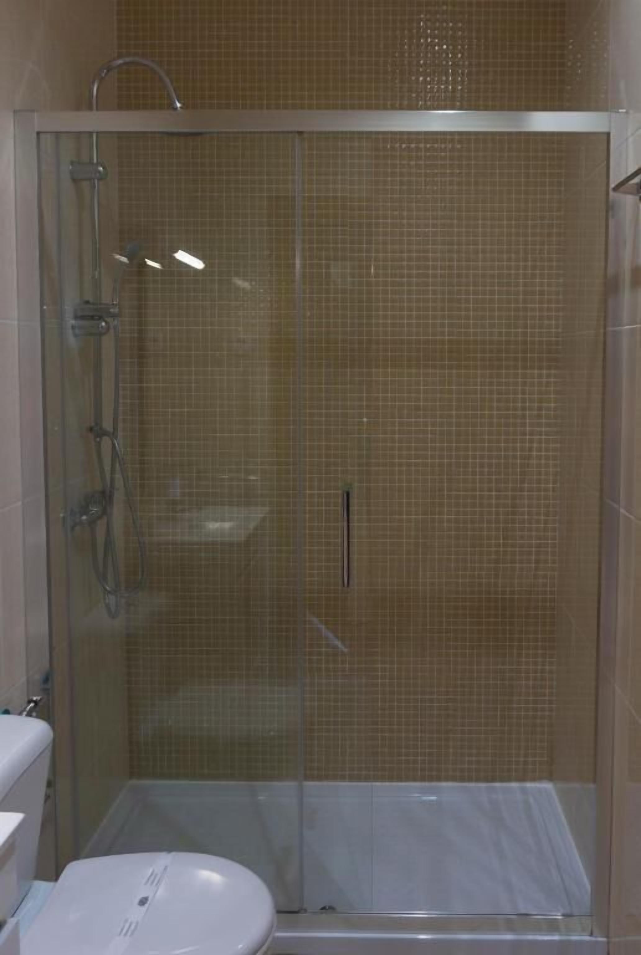 A glass-enclosed shower stall with a white toilet and a showerhead.