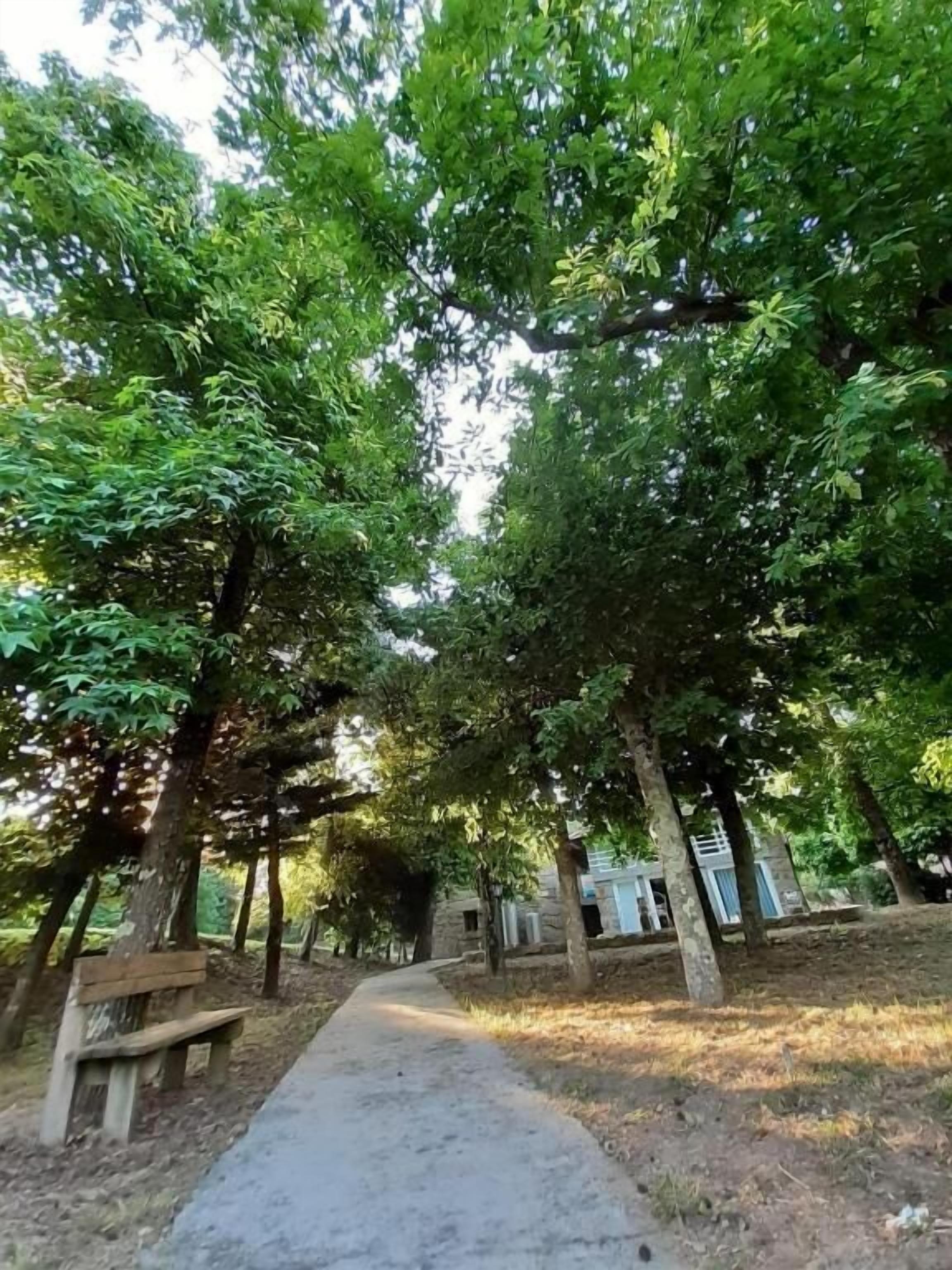 Parco della struttura