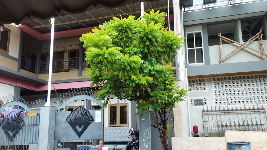 OYO Life 93403 Penginapan Adinda