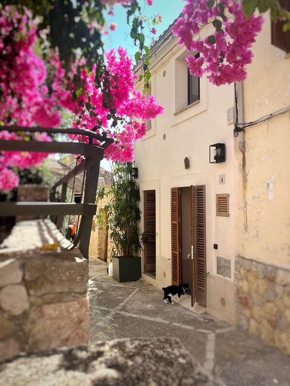 Property grounds - Casa Piiii (Bunyola)