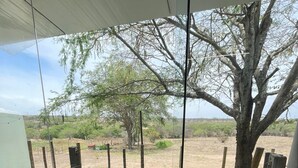 A view from a room with a large window overlooking a fenced outdoor area with a tree and a grassy field. - Domo do Matto (Garanhuns)