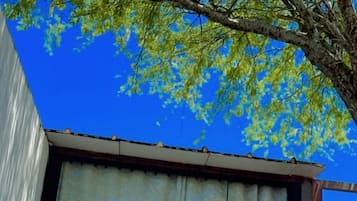 Premium Room, 1 Queen Bed, Non Smoking, Bathtub | 1 bedroom, free WiFi, bed sheets