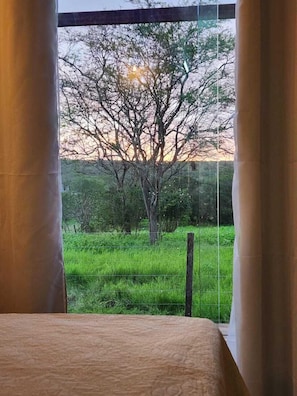 Standard Room, 1 Queen Bed, Fireplace