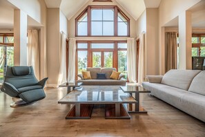 Smart TV, fireplace, video games, DVD player