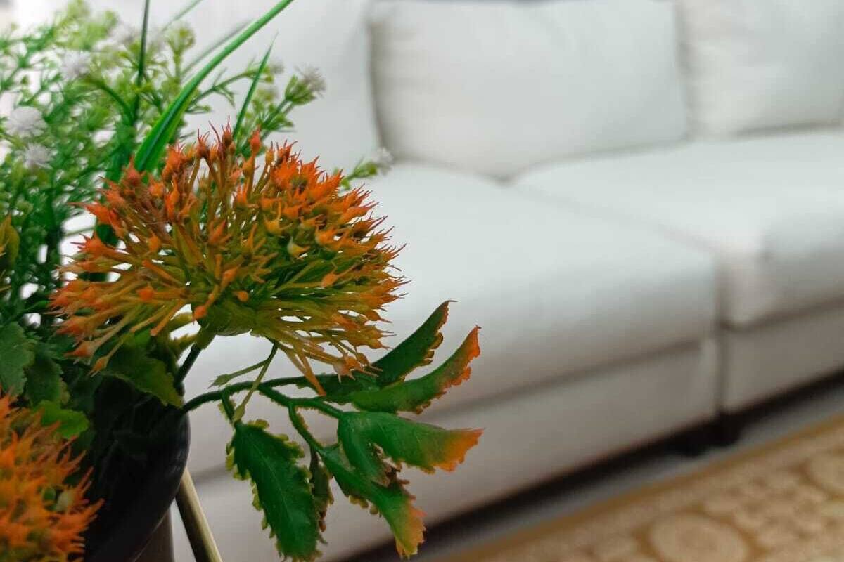 Executive Apartment | 1 bedroom, WiFi (free)