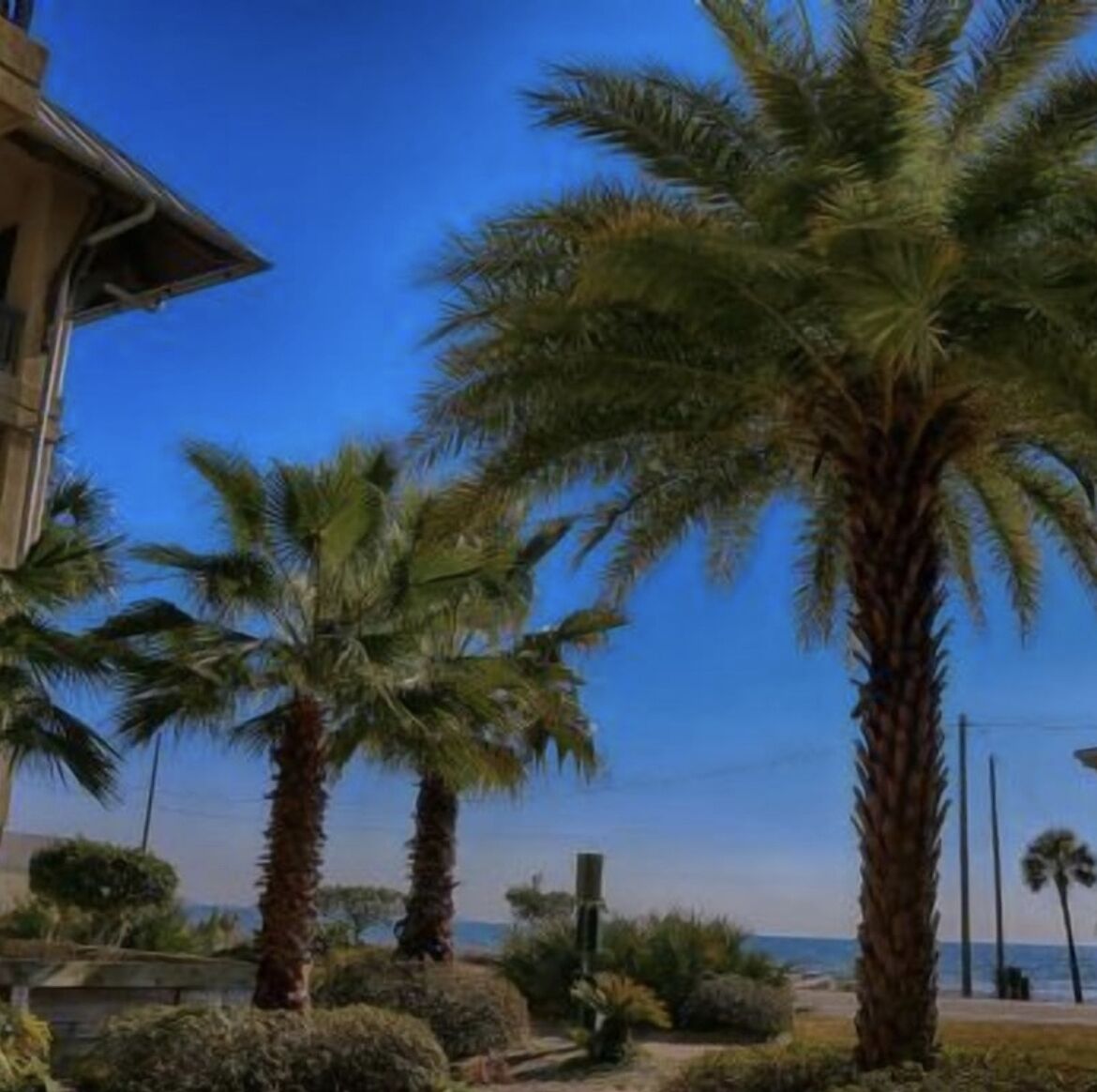 A coastal building with palm trees and a clear blue sky.