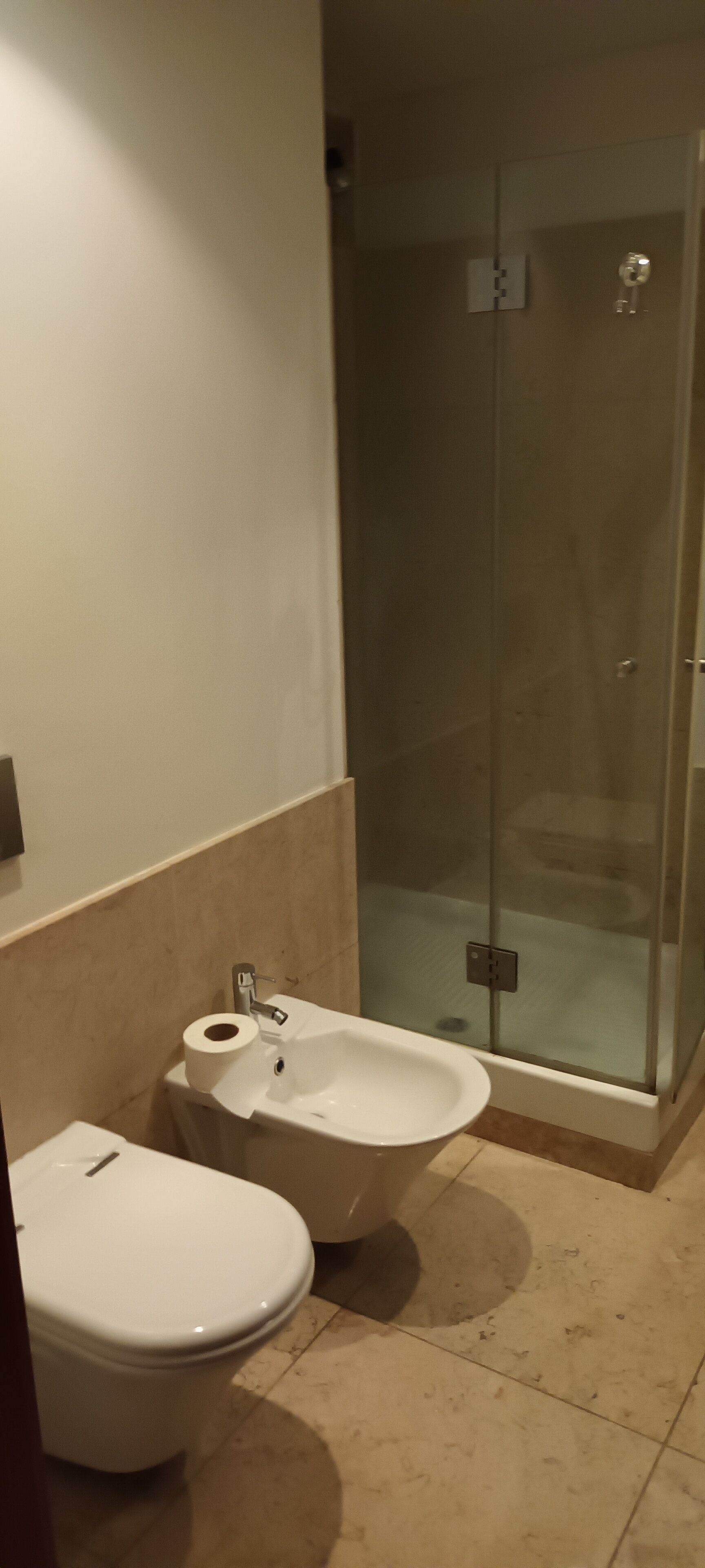 Bidet, Handtücher, Toilettenpapier