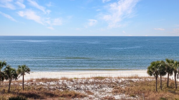 A beach with clear skies, calm water, and palm trees. - Huge renovated townhome, sleeps 11, beach-side of 98 with gorgeous beach access (Me)