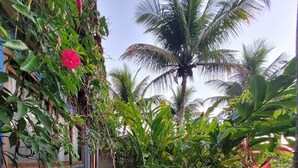 A lush garden with various plants and a palm tree.