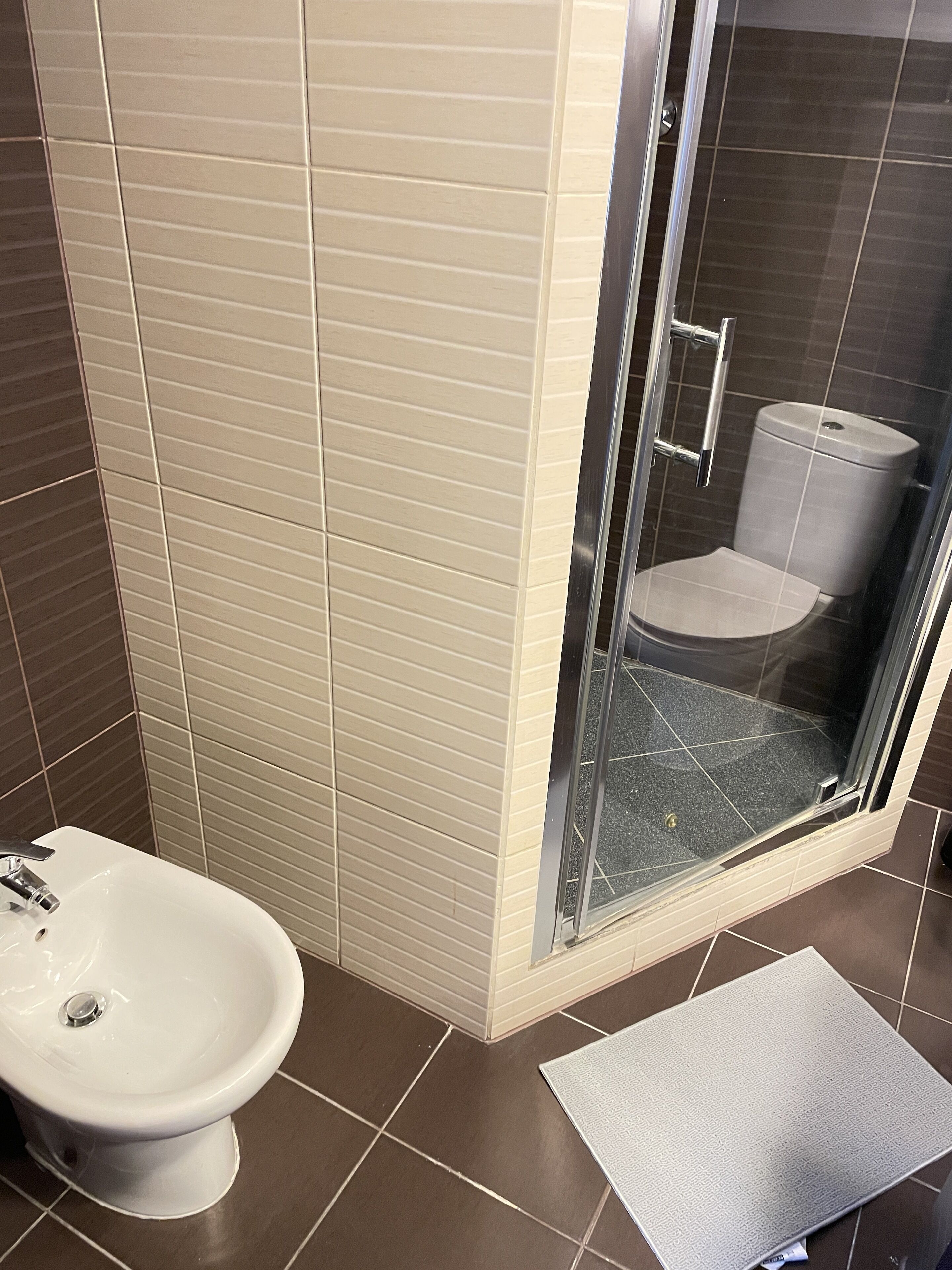 A bathroom with a toilet, bidet, and a glass-enclosed shower area.