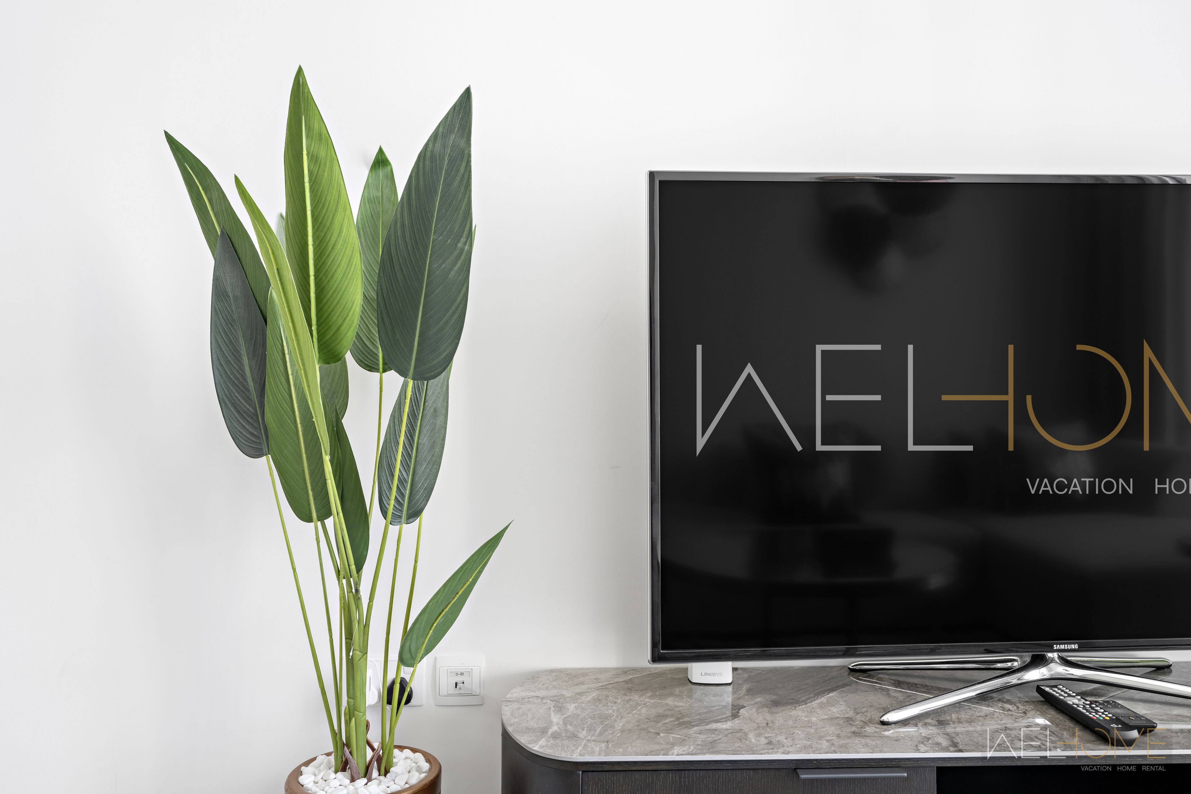 Een moderne woonkamer met een flatscreen televisie, een plant en een marmeren console.