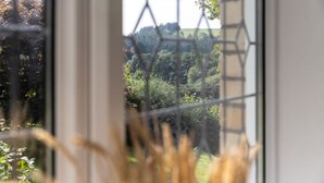 A window view of a rural landscape with trees and a fence.