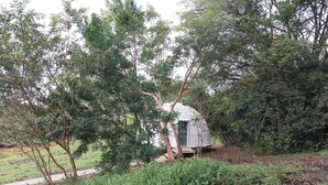 A white tent-like structure in a forested area with a wooden platform and a door. - Vida Aventura Glamping Deluxe Dome (Bagaces)