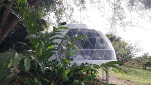 A geodesic dome structure surrounded by lush greenery. - Vida Aventura Glamping Deluxe Dome (Bagaces)