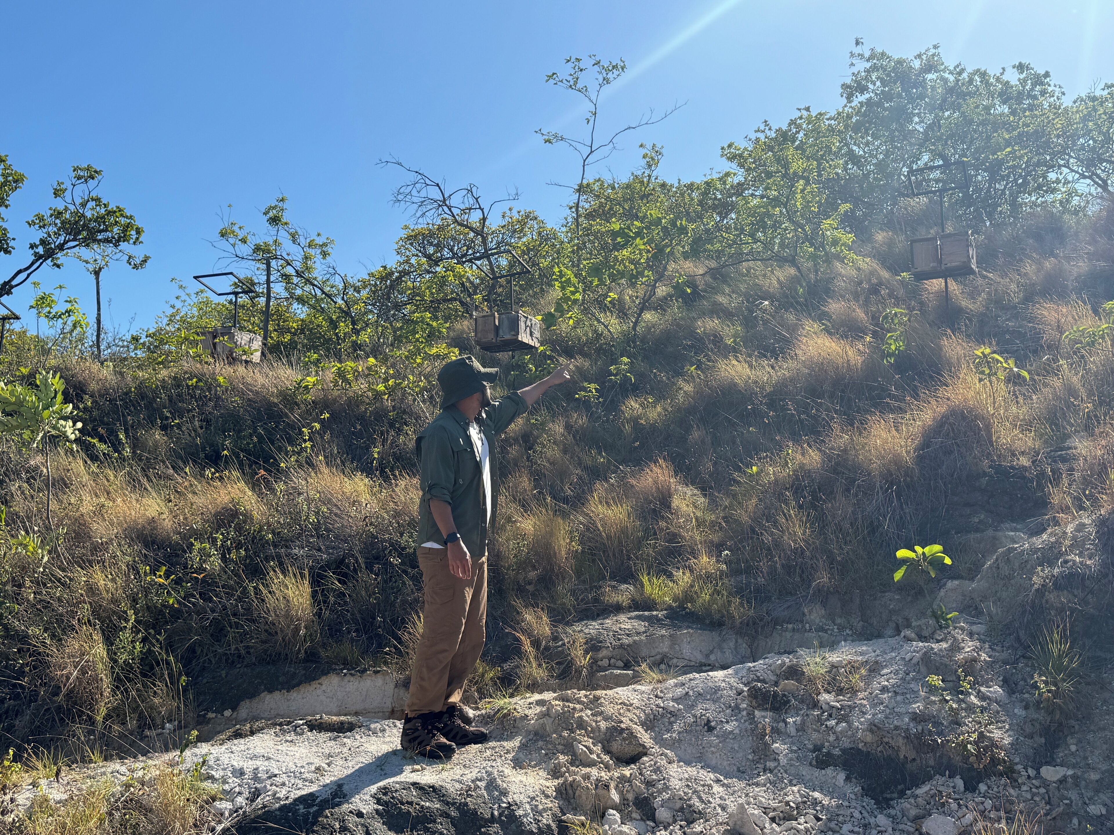 A person standing on a rocky terrain with sparse vegetation and trees in the background.