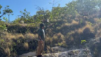 A person standing on a rocky terrain with sparse vegetation and trees in the background.