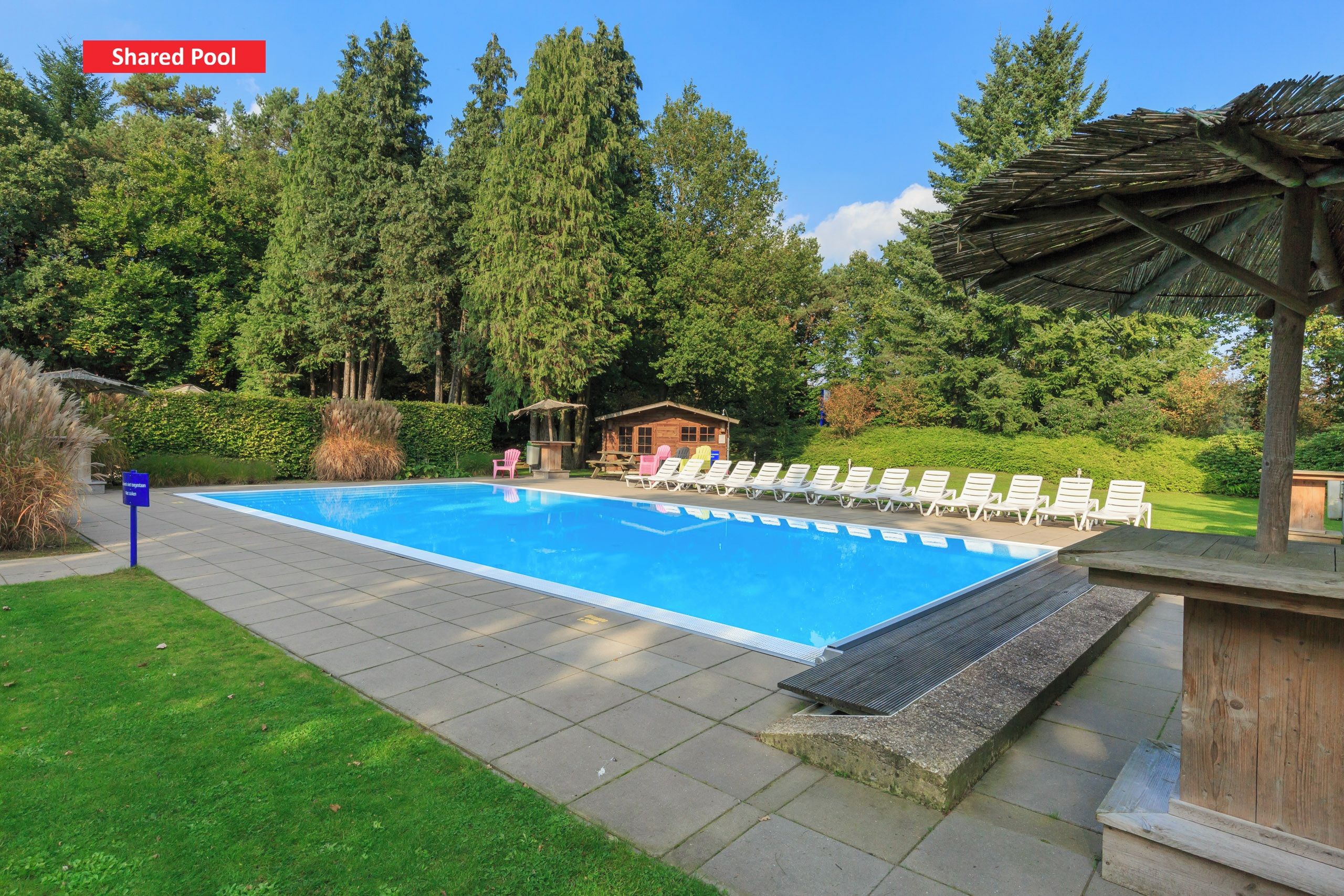 Shared Pool